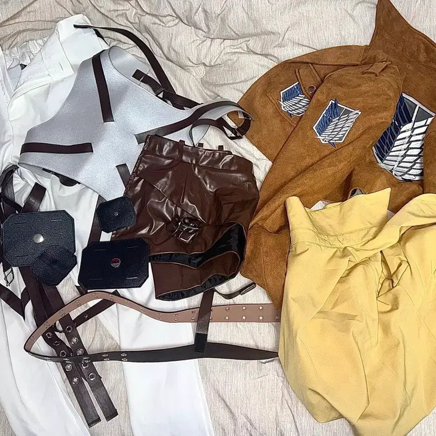 [BUNJANG] Attack on Titan Hange Zoë Survey Corps Coat / 진격거 진격의 거인 한지조에 코트 / 조사병단 의상 판매