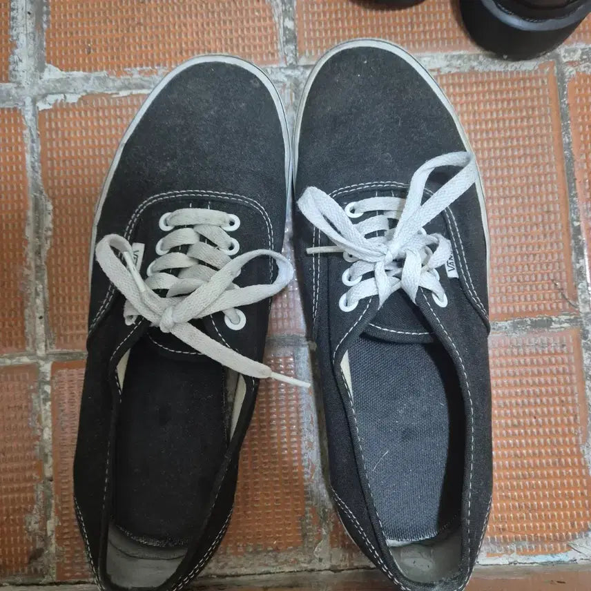 [BUNJANG] Vans Authentic Shoes / 반스 어센틱 260cm