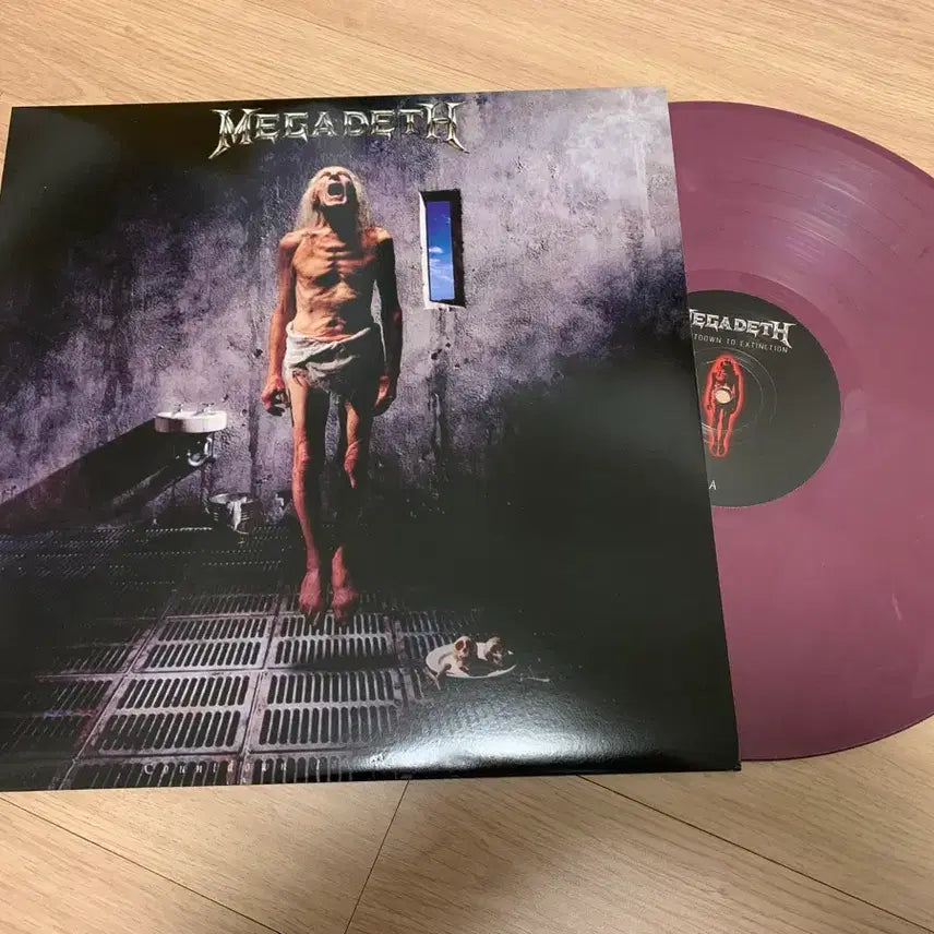 [BUNJANG] Megadeth Countdown to Extinction Unofficial Vinyl / Megadeth LP 팝니다.
