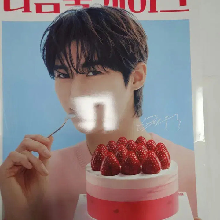 [BUNJANG] Byun Woo Seok Baskin Robbins Double Scoop Cake Double-Sided Poster / 21세기대군부인 변우석 배라 배스킨라빈스 포스터 이안대군