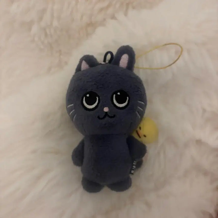 [BUNJANG] Tolil TONYA DUCK Baby 8cm Plush / 토냥덕 베이비 8cm
