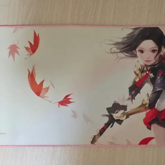 [BUNJANG] Lost Ark 2 Desk Mats + Eco Bag Set / 로스트아크 장패드2개+에코백