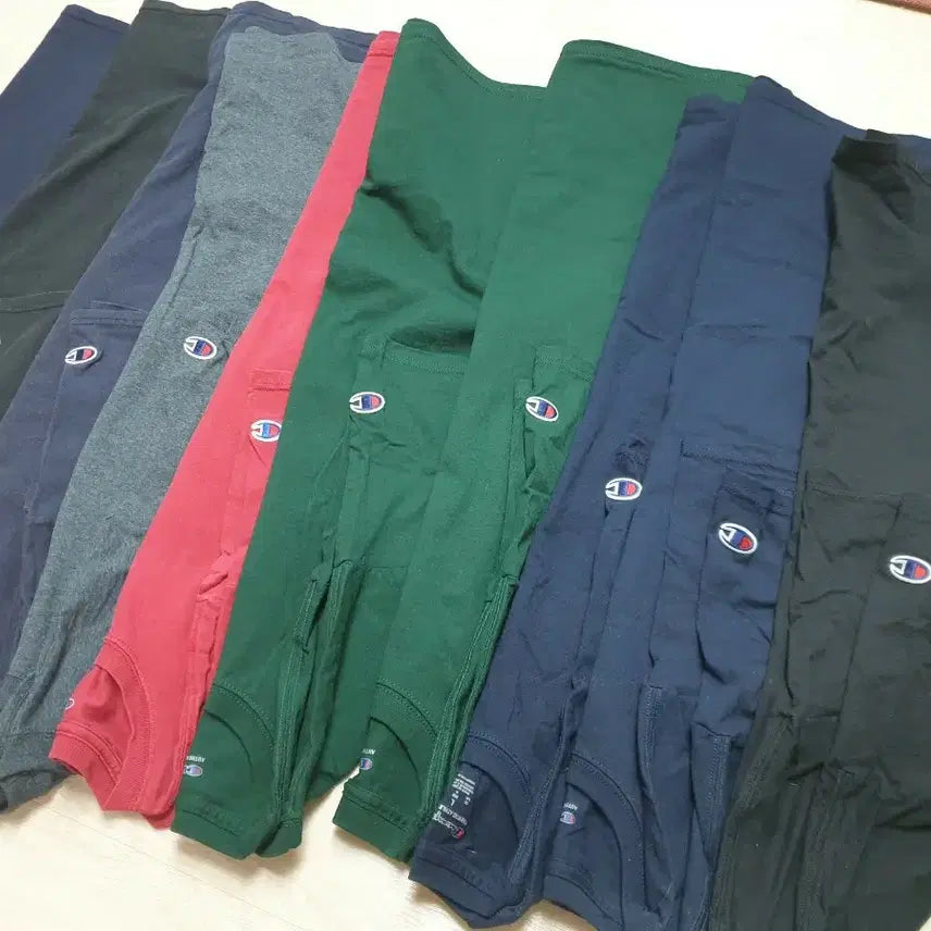 [BUNJANG] Champion Plain T-Shirts Bundle Set - Size L (10 Types) / 챔피온 무지 반팔티 10종 L사이즈 일괄