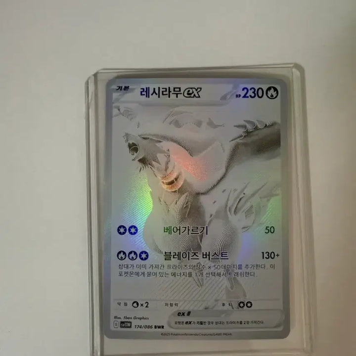 [SOLD OUT] 레시라무 bwr 판매