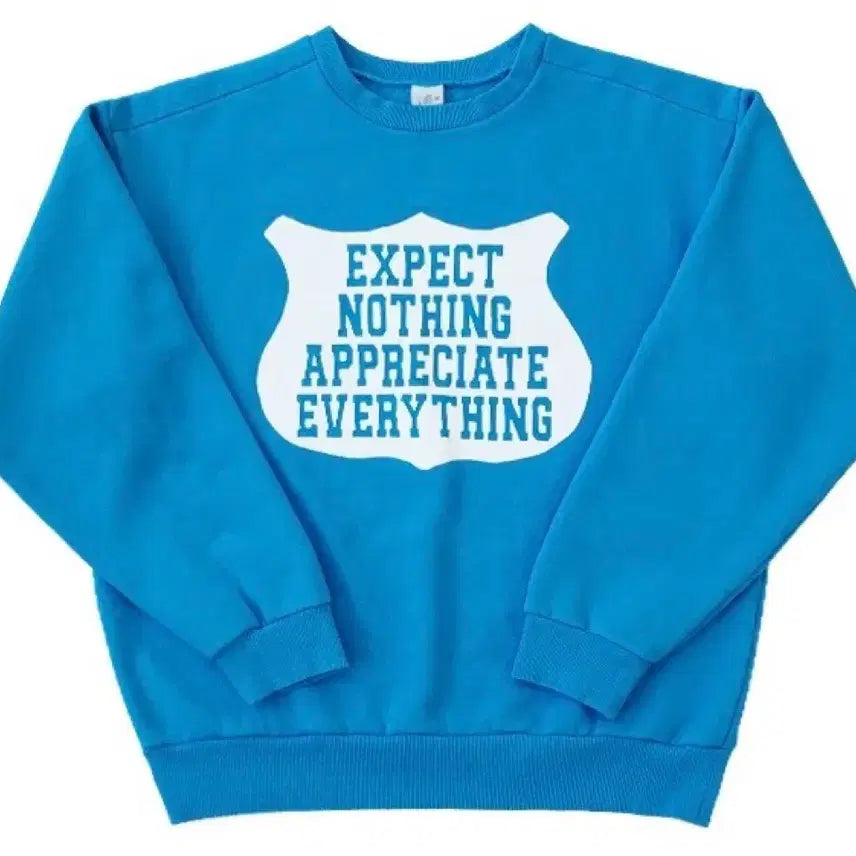 [BUNJANG] Collect Pieces ENAE Sweatshirt L / 컬렉트피시스 ENAE 맨투맨 L