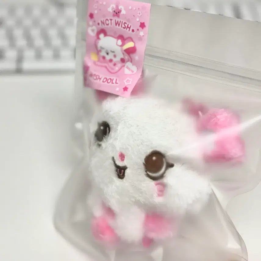 [BUNJANG] NCT WISH Sakuya Original Wish Doll Pangyi / NCT WISH 오리지널 위시돌 인형 팡이 미개봉 사쿠야 위시