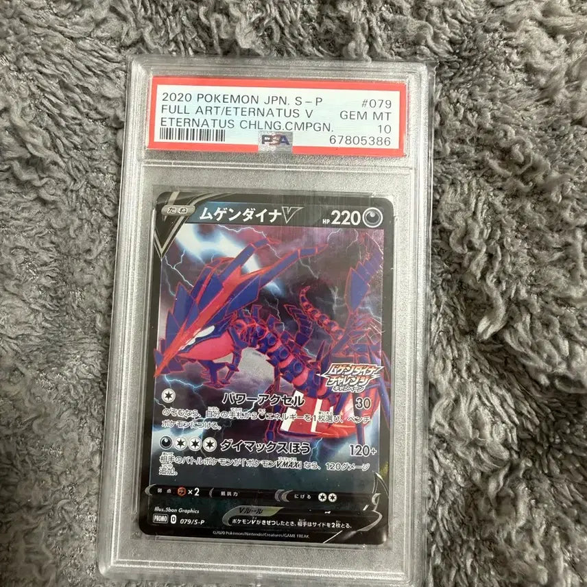 [BUNJANG] Pokemon Card Groudon V PSA 10 / 포켓몬 카드 무한다이노V PSA10