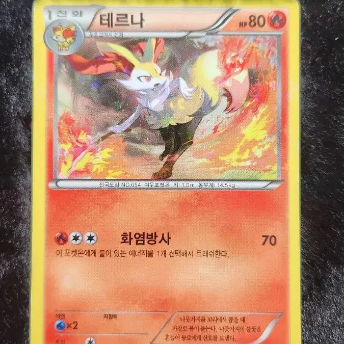[BUNJANG] Pokemon Card Terna / 포켓몬 카드 테르나