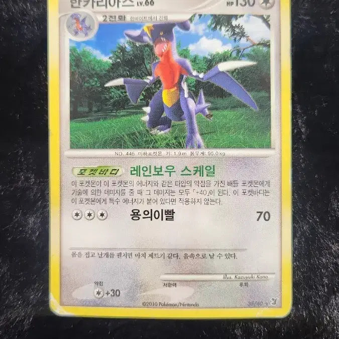 [BUNJANG] Pokemon Card Garchomp / 포켓몬 카드 한카리아스
