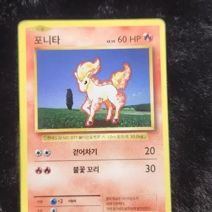 [BUNJANG] Pokemon Card Ponyta CP6 Version / 포켓몬 카드 포니타
