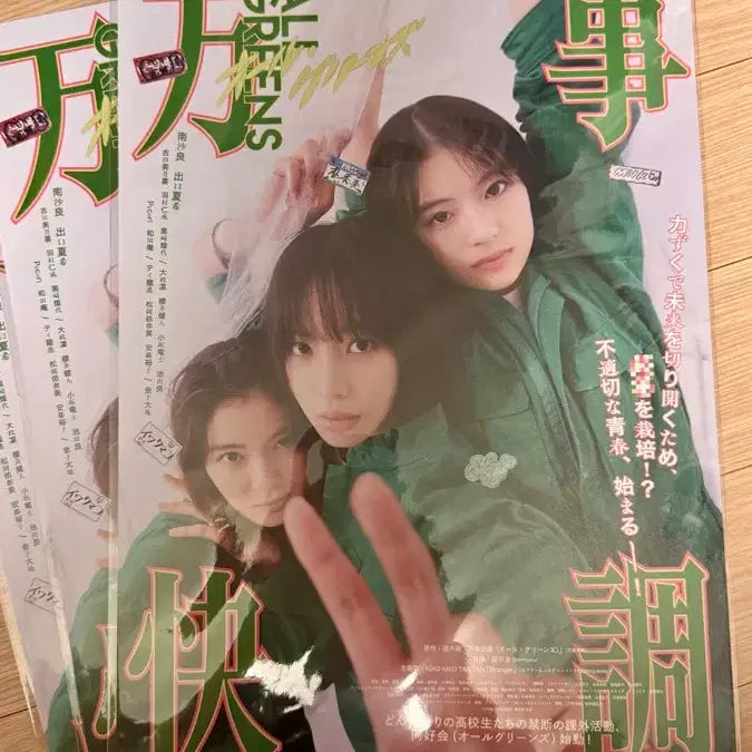 [BUNJANG] All Greens Original Poster Sealed / 올 그린스 오리지널 포스터 미개봉