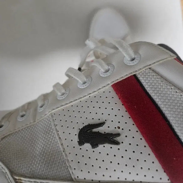 [BUNJANG] Lacoste White Sneakers / 라코스테 흰색 스니커즈 운동화
