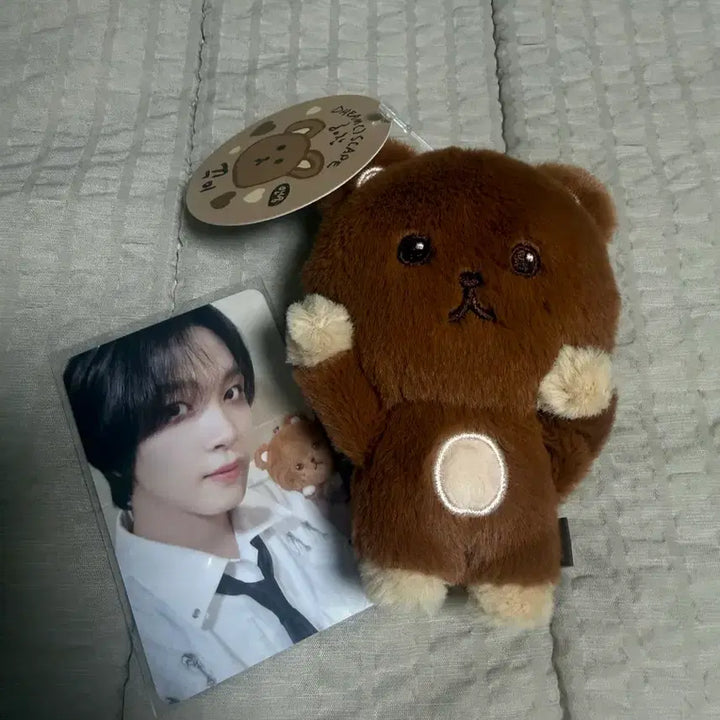 [BUNJANG] NCT Dream Haechan Doll (New) / 엔시티드림 해찬 인형 팝니다 !!