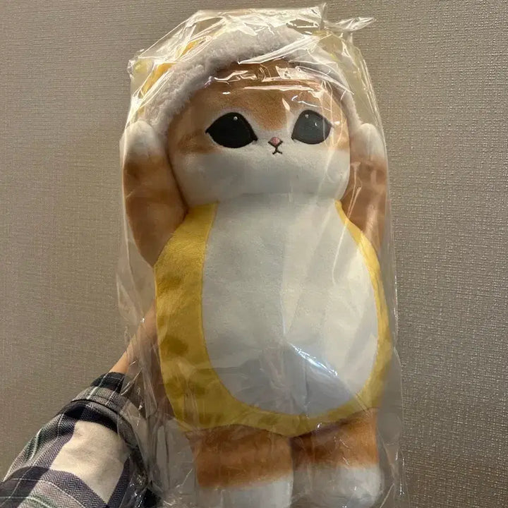 [BUNJANG] Plush Cat Doll New / 고양이 인형 봉제인형 새상품