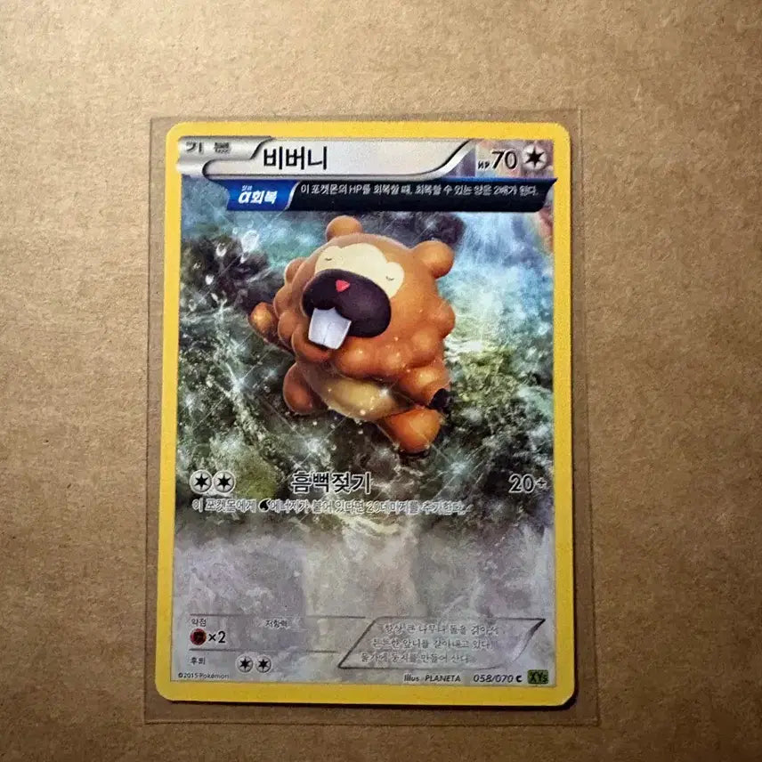 [BUNJANG] Pokemon Card Scorbunny XY / 포켓몬 카드 비버니 xy