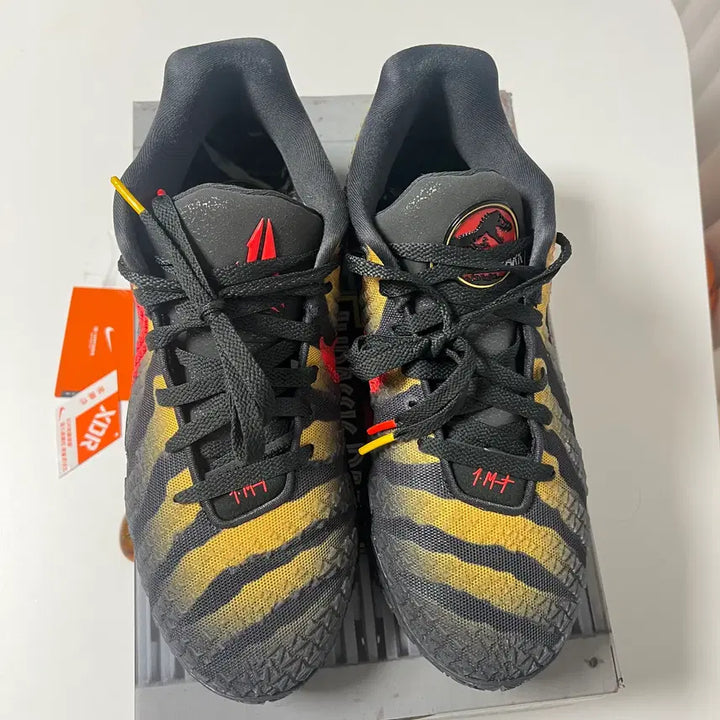 [BUNJANG] Raptor Size 280 Training Shoes / 자3 ep 랩터 280사이즈