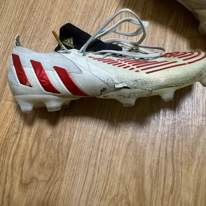 [BUNJANG] Predator Edge.1 Low Rare Pack Football Boots / 프레데터 엣지.1 로우 희귀팩