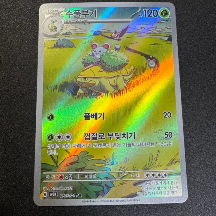 [BUNJANG] Pokemon Sceptile AR / 포켓몬) 수풀부기 AR S급