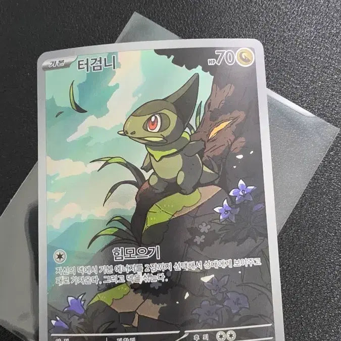 [BUNJANG] Pokemon Card Torkoal AR / 포켓몬 카드 터검니 AR