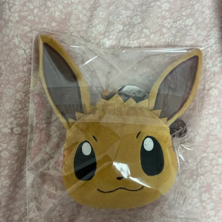 [BUNJANG] Pokemon Eevee Necklace Pouch / 포켓몬스터 이브이 목걸이파우치