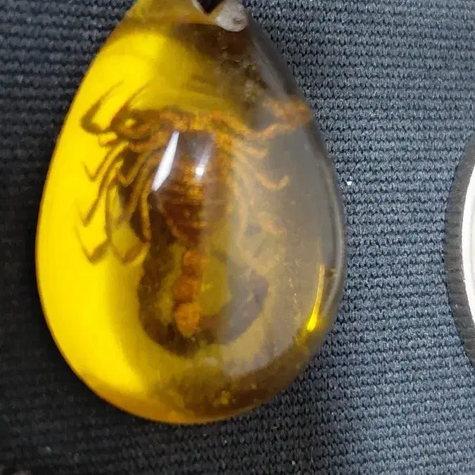 [BUNJANG] Scorpion Amber Pendant Necklace / 전갈호박 목걸이