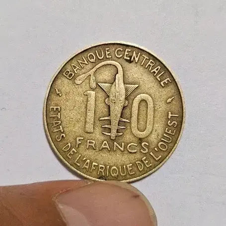 [BUNJANG] 1982 West African 10 Franc Coin / 서아프리카 1982년 10프랑 동전(외국주화)A15