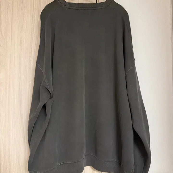 [BUNJANG] Wego Pigment Sweatshirt (Free Size) / Wego 일본 피그먼트 맨투맨 티셔츠 Free