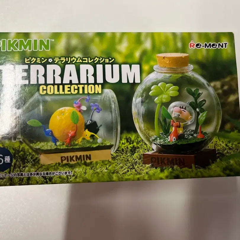 [BUNJANG] Pikmin Terrarium 