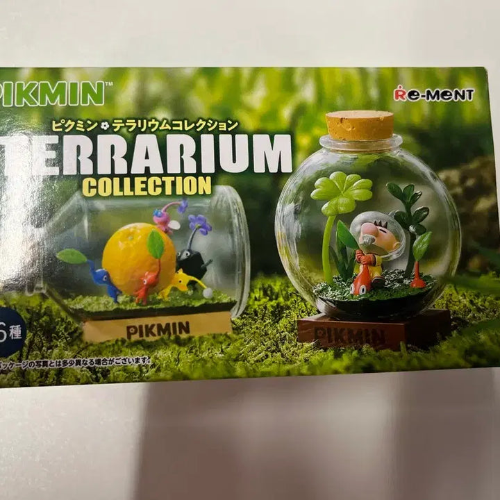 [BUNJANG] Pikmin Terrarium 