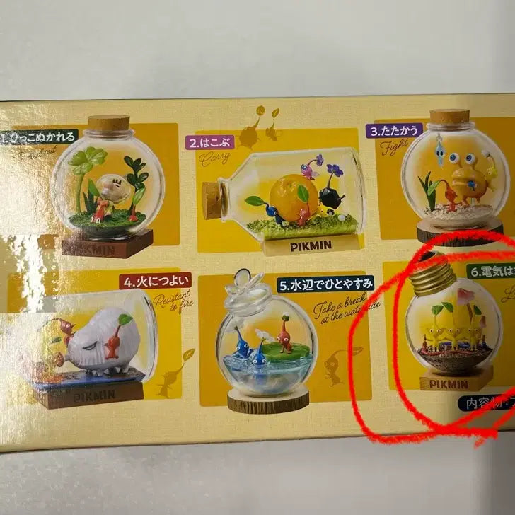 [BUNJANG] Pikmin Terrarium 