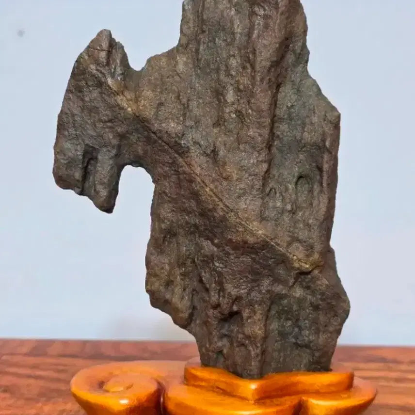 [BUNJANG] Jeju Yongduam Shaped Stone / 제주 용두암 형상석 수석