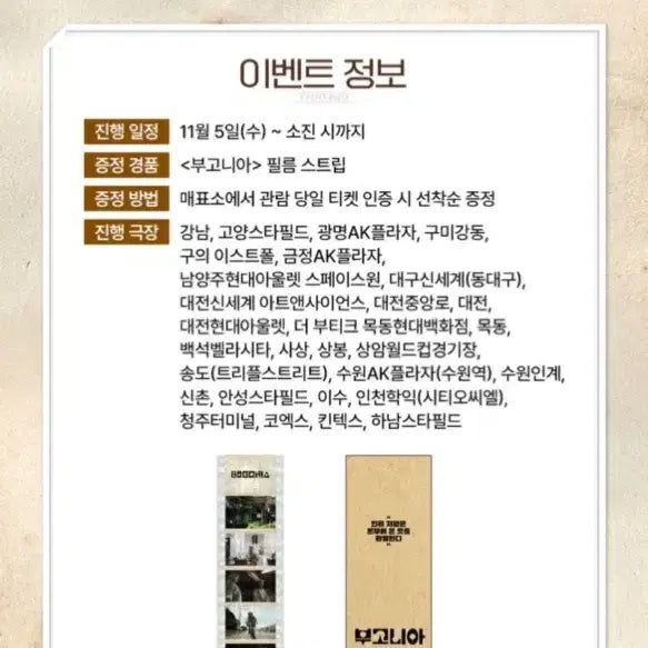 [BUNJANG] Bugonia Film Strip / 부고니아 필름 스트립
