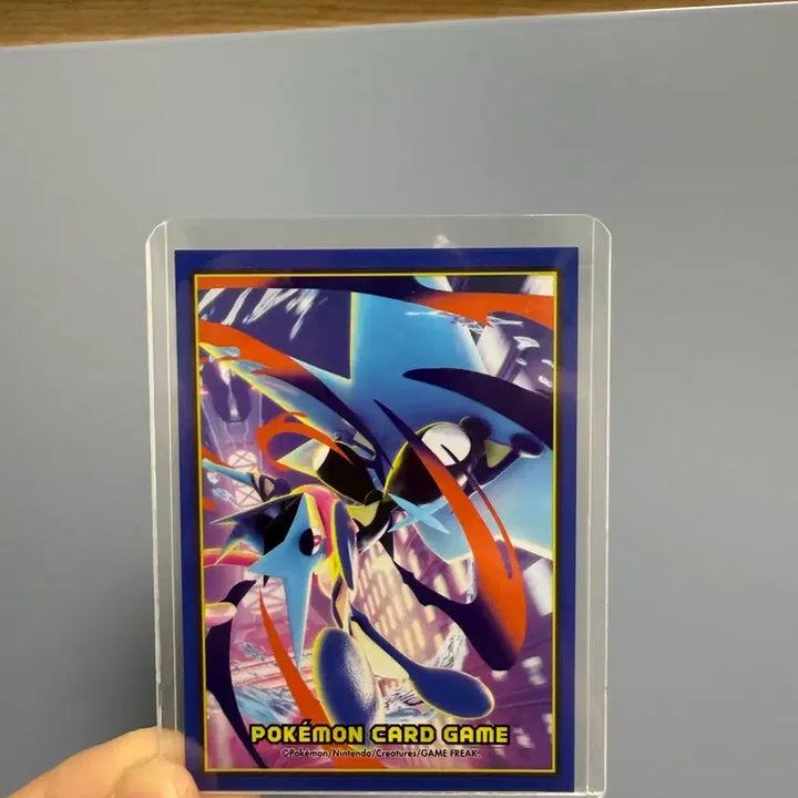 [BUNJANG] Pokemon Card Mega Greninja-EX SAR / 포켓몬카드 메가개굴닌자ex sar