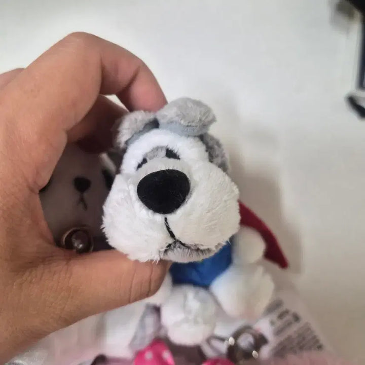 [BUNJANG] Plushie Charm Set / 인형 키링 저렴하게 데려가세요 :)