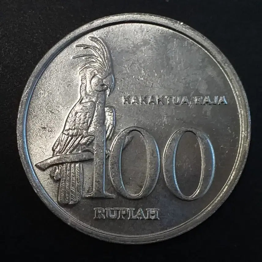 [BUNJANG] 1999 Indonesia 100 Rupiah Coin / 1999년 인도네시아 100 루피아 주화 w935