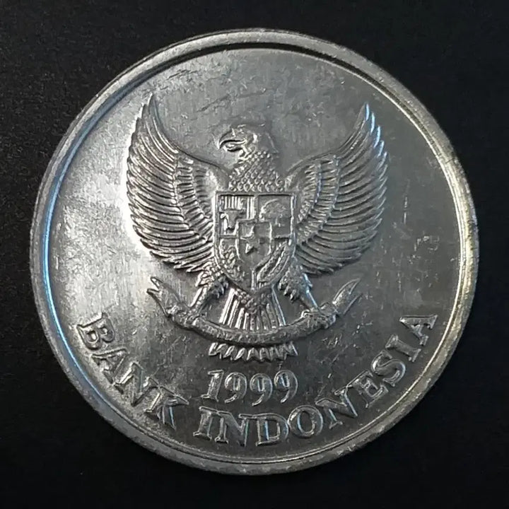 [BUNJANG] 1999 Indonesia 100 Rupiah Coin / 1999년 인도네시아 100 루피아 주화 w935