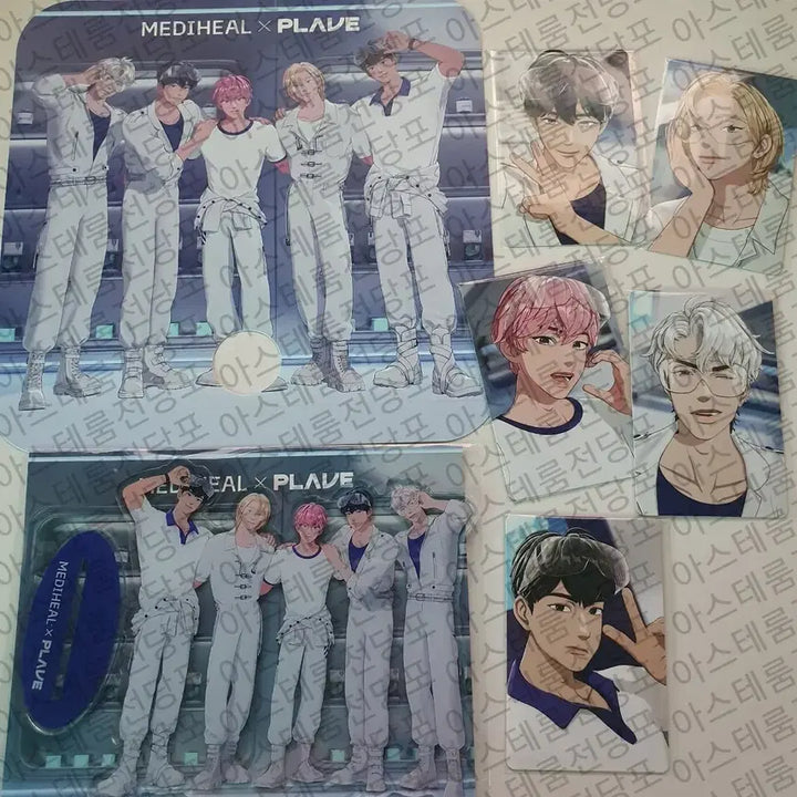 [BUNJANG] Mediheal Photocard Acrylic Fan Set / 메디힐 포카 아크릴 부채 세트