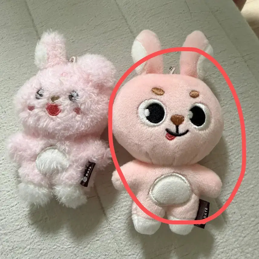 [BUNJANG] DAY6 Wonpil Unfiltered Secret Keyring / 원필 솔콘 언필터드 시크릿키링 메롱필 양도