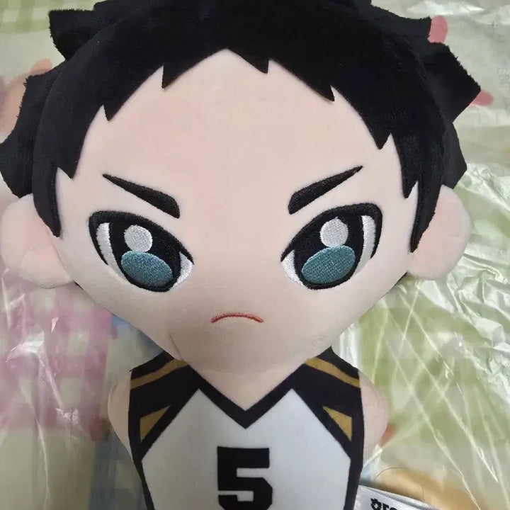 [BUNJANG] Haikyuu!! Fukurodani Akaashi Big Plush / 하이큐 빅누이 후쿠로다니 아카아시