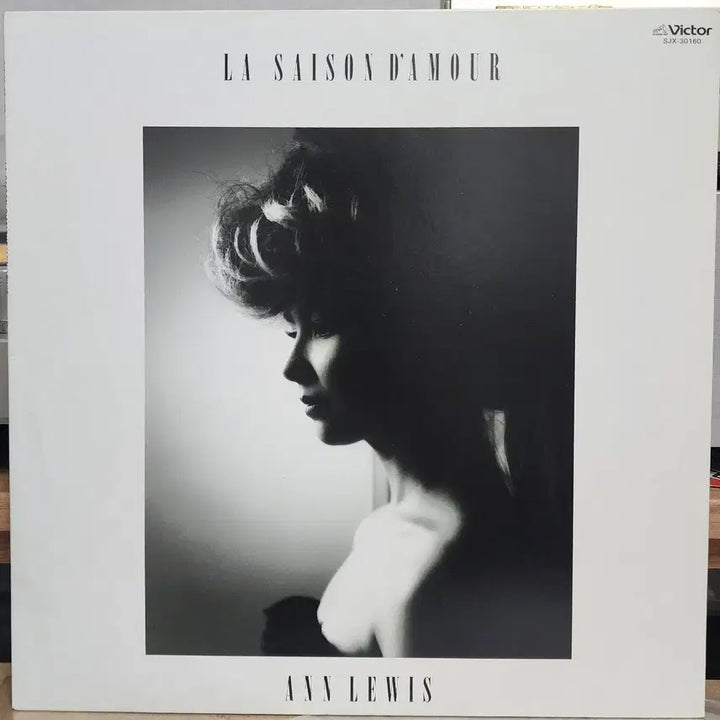 [BUNJANG] Ann Lewis City Pop LP / 시티팝 Ann Lewis LP