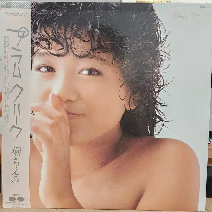 [BUNJANG] Hori Chiemi City Pop LP / 시티팝 Hori Chiemi LP
