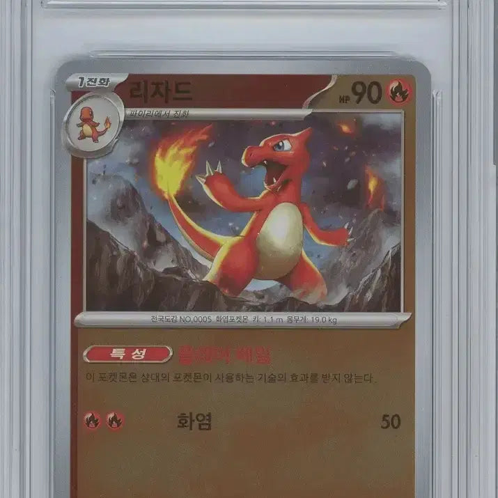 [BUNJANG] Charizard Promo BRG9 Pokemon Card / 리자몽 프로모 brg9 3연번 포켓몬카드
