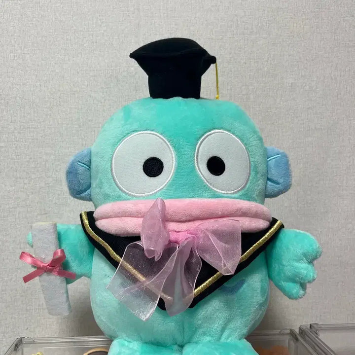 [BUNJANG] Sanrio Hangyodon Graduation Cap Medium Plush / 산리오 한교동 학사모 중형 인형 판매합니다