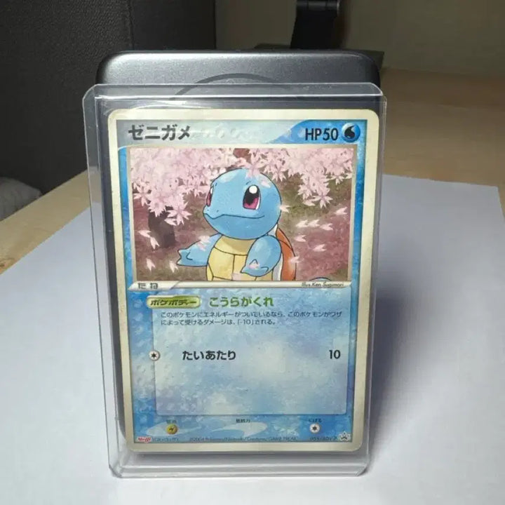 [BUNJANG] Pokemon Card Cherry Blossom Squirtle / [포켓몬카드] 벚꽃 꼬부기