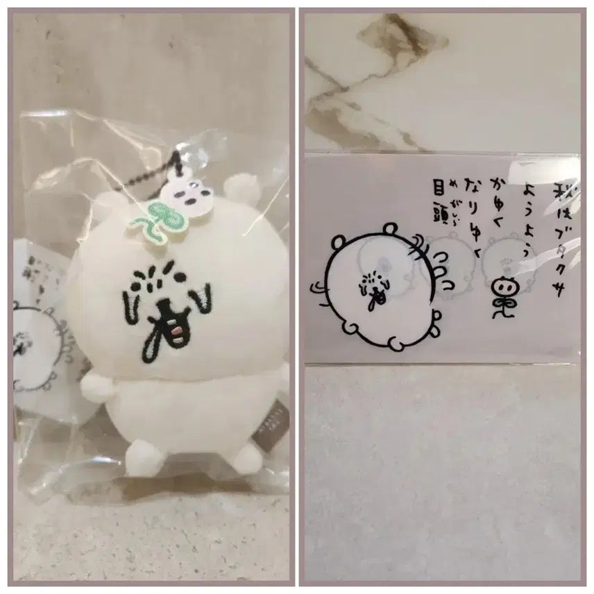 [BUNJANG] Novelty Pig Allergy Joke Bear Clear File / 일본 정품) 덤 노벨티) 돼지풀 알러지 농담곰