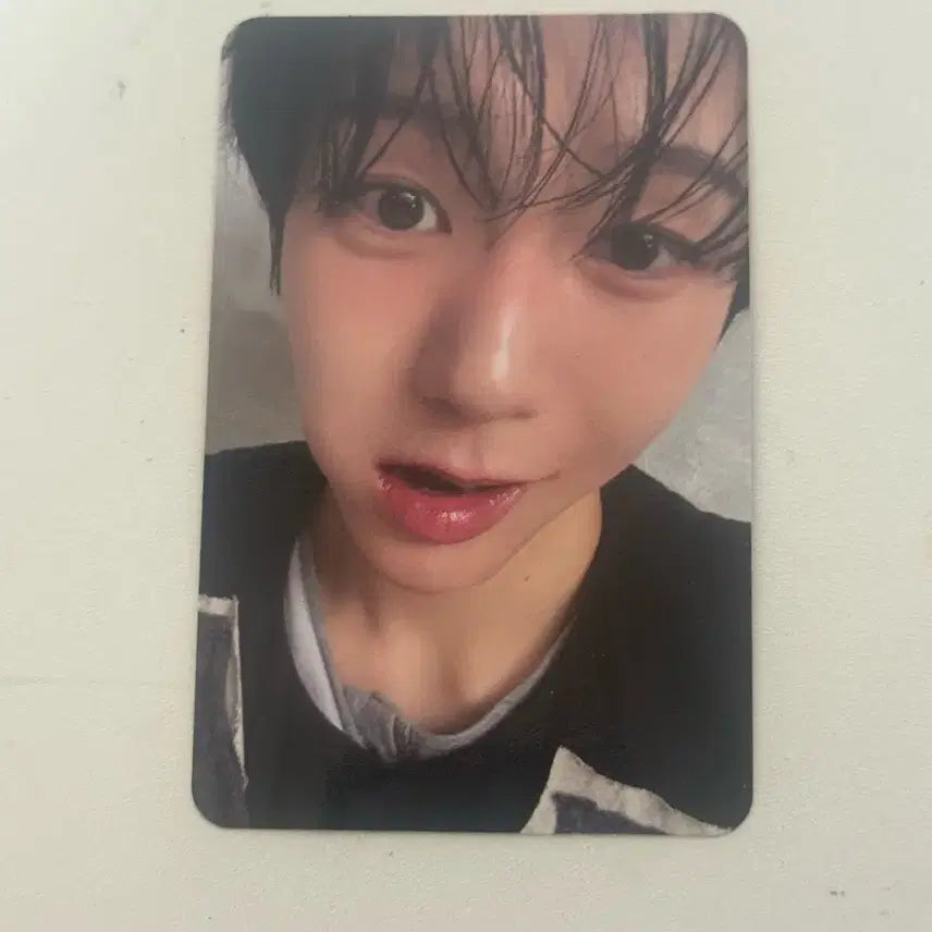 [BUNJANG] NCT WISH Ode to Love Interscope Version Ryo Photocard / 엔시티위시 ode to love 패키지 인테로스버전 료 엘포