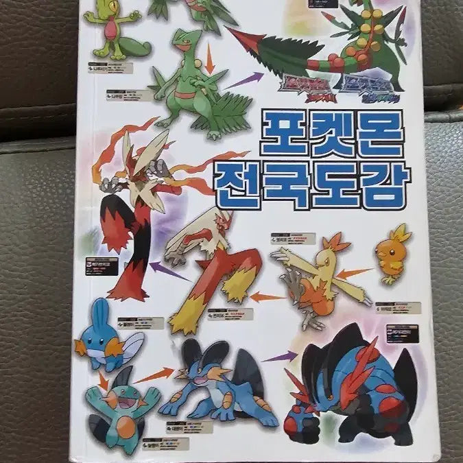 [BUNJANG] Nintendo 3DS Pokemon National Pokedex / 닌텐도 3DS 포켓몬 전국도감