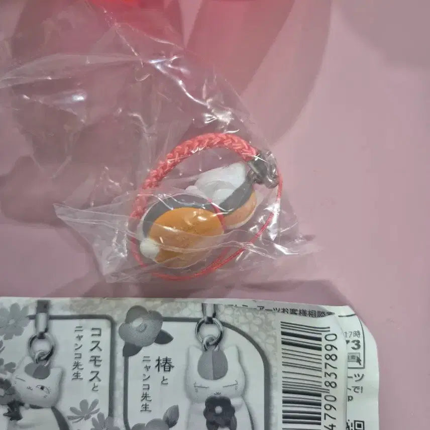 [BUNJANG] Natsume&
