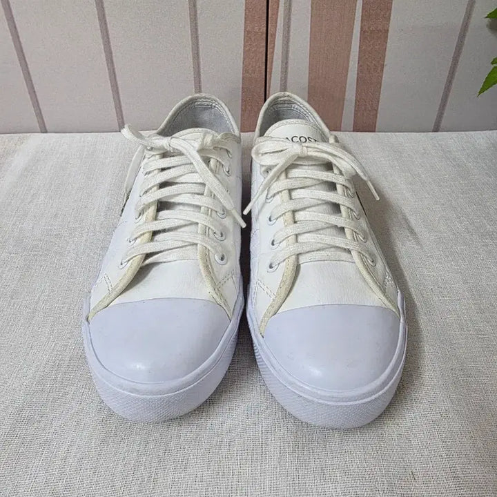 [BUNJANG] Lacoste White Leather Sneakers Size 250mm / 라코스테 화이트 가죽스니커즈 250mm