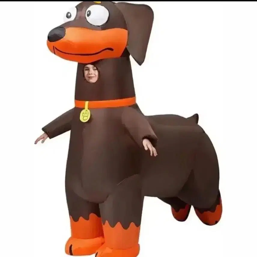 [BUNJANG] Dachshund Air Suit Rental / 닥스훈트 에어슈트 졸사 대여